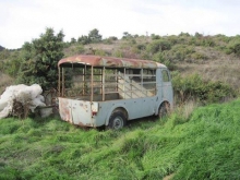 Peugeot D4B